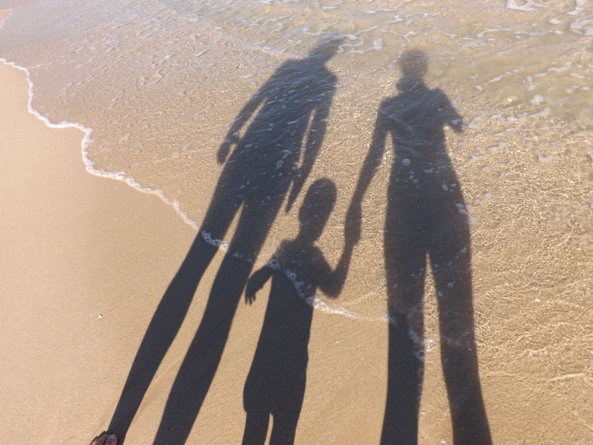 template/elemente/27/1200/seagul-family-434708-hq.jpg
